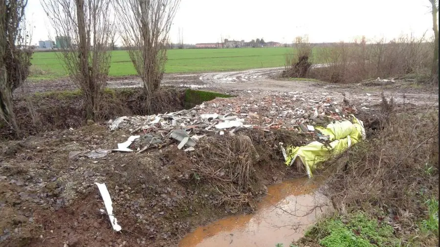 Quello che è stato ritrovato nell'azienda suinicola di Visano