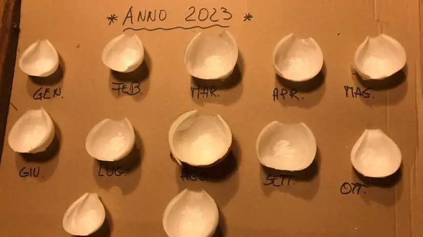 2023, il meteo delle cipolle