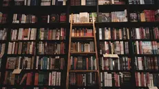 Negli ultimi anni oltre 700 librerie italiane indipendenti si sono unite a Bookdealer