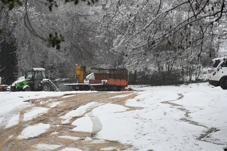 La prima neve del 2023 sul monte Maddalena