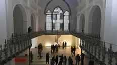 Spazio Carme, l'inaugurazione dopo la riqualificazione