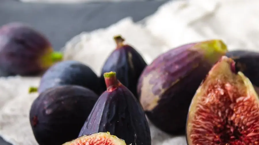 Fichi - Foto Quin Engle Unsplash