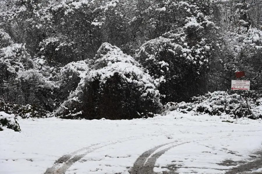 La prima neve del 2023 sul monte Maddalena