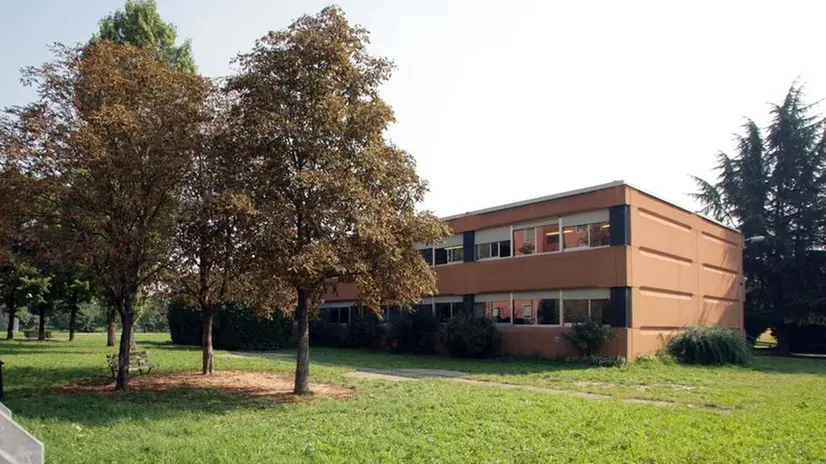 La primaria ha un giardino molto grande e vicino ad un parco