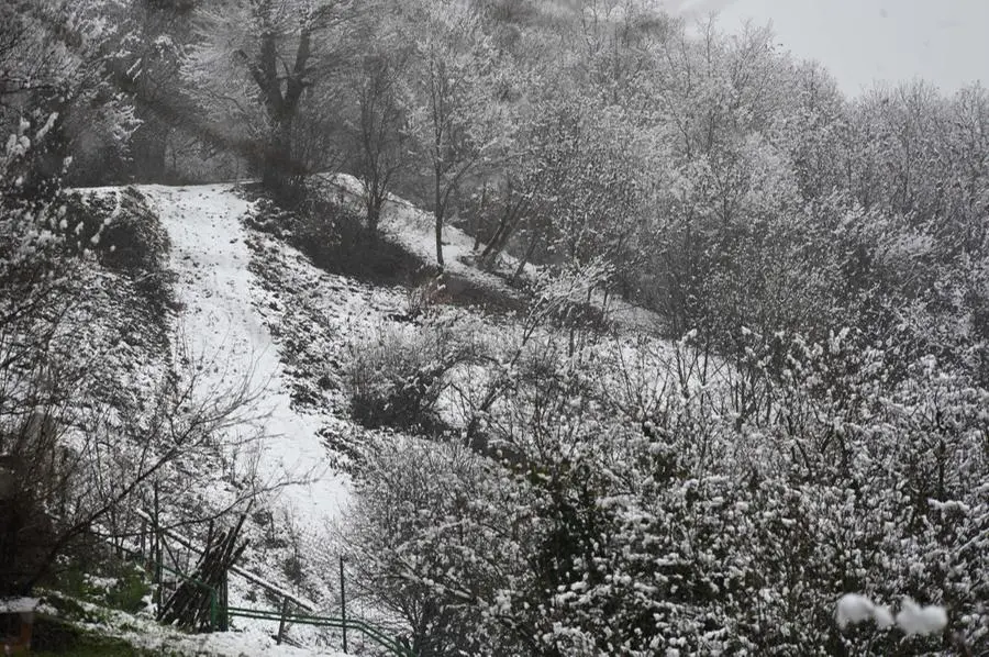 La prima neve del 2023 sul monte Maddalena