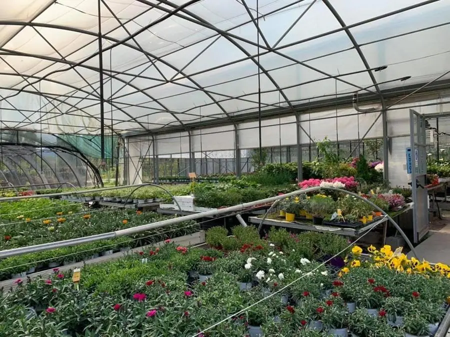 Gli spazi della Floricoltura Prati di Botticino chiuderanno dopo 40 anni