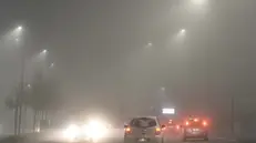 Auto nella nebbia (immagine simbolica)