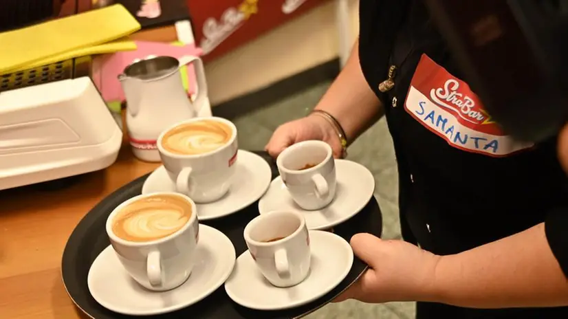 Strabar, martedì 1 novembre: i casting a Centrale del Latte