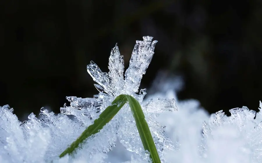 Meteo, alcune immagini scattate durante il 2022