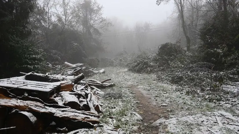 Primi fiocchi di neve in Maddalena