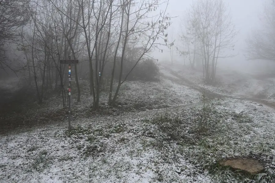 Primi fiocchi di neve in Maddalena