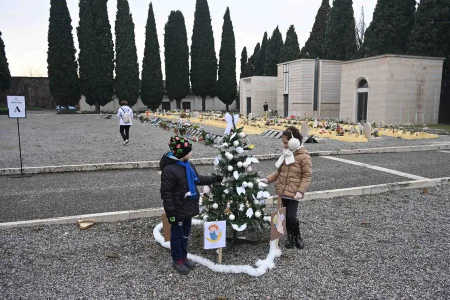 Bimbi mai nati, al cimitero l'albero di Natale portato dai genitori