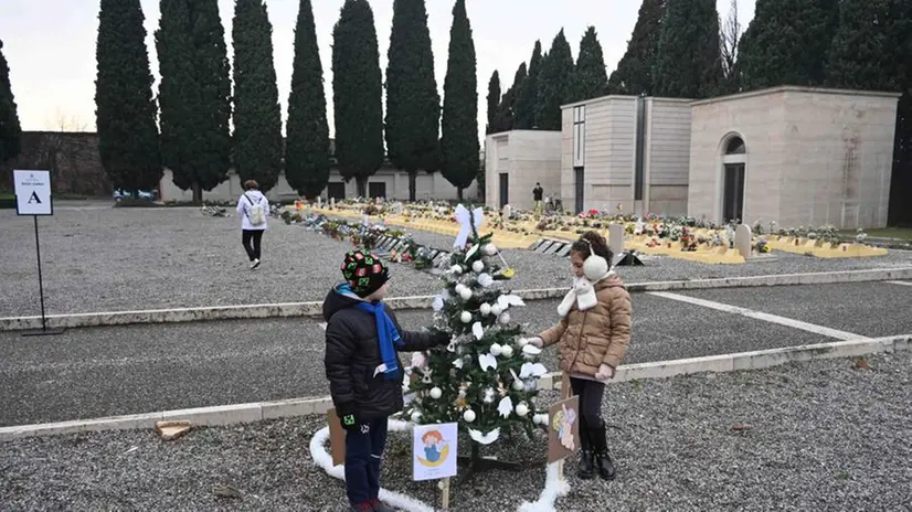 Bimbi mai nati, al cimitero l'albero di Natale portato dai genitori
