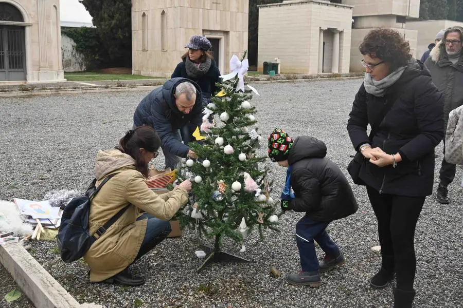 Bimbi mai nati, al cimitero l'albero di Natale portato dai genitori