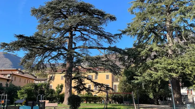 Il Parco Benini, che vanta una limonaia e alberi monumentali - © www.giornaledibrescia.it