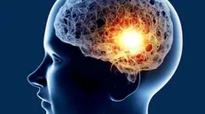 La malattia di Parkinson colpisce il cervello - © www.giornaledibrescia.it