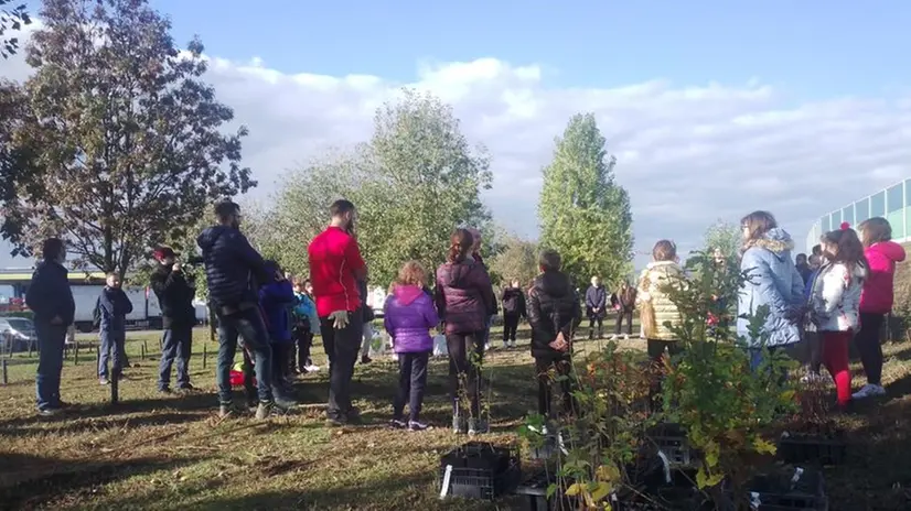 L'inaugurazione del nuovo bosco a Cazzago San Martino
