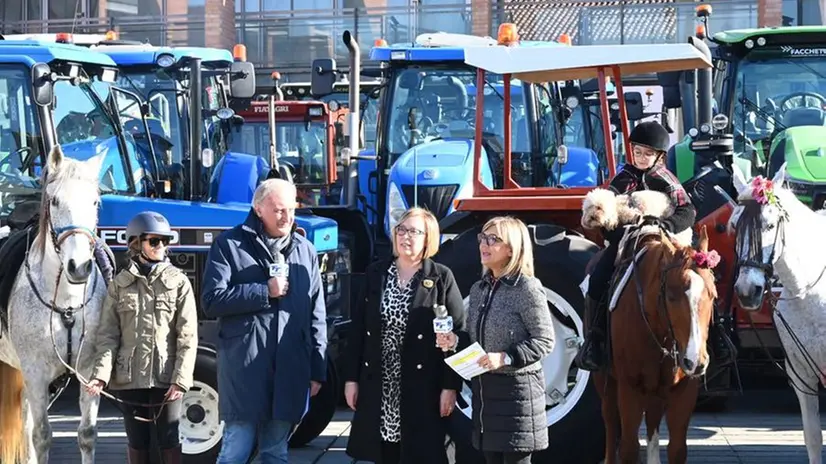 In Piazza con noi a Trenzano domenica 20 novembre 2022