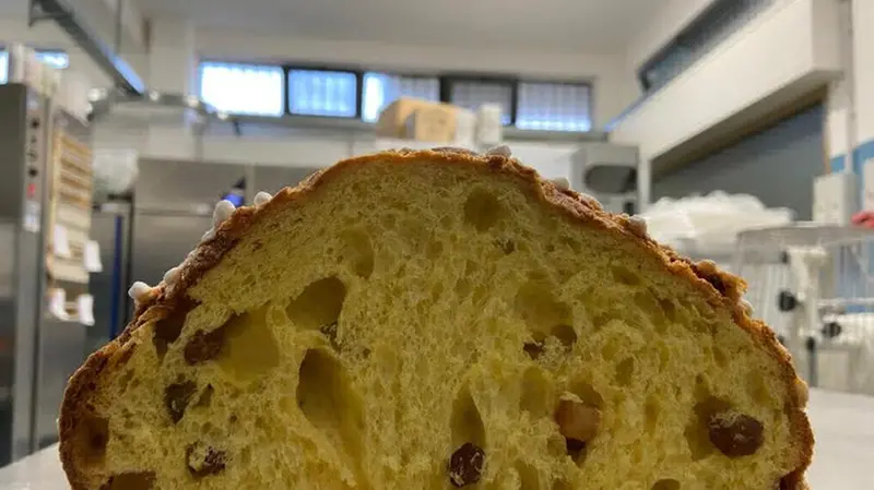 Il panettone di LieVita