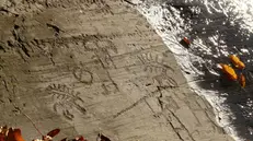 Le incisioni rupestri della Valcamonica - © www.giornaledibrescia.it