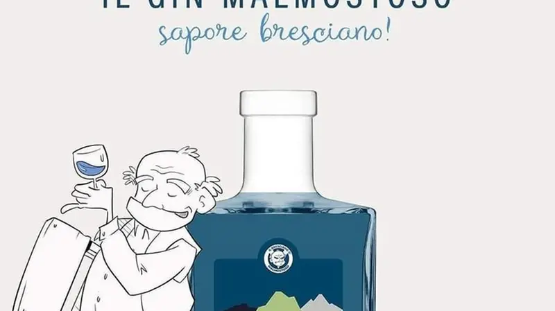 Il Gin Malmostoso - Foto tratta dai social