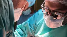 Il chirurgo Francesco Moro durante uno degli interventi - Foto Ansa © www.giornaledibrescia.it