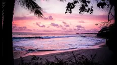 Una spiaggia della Nuova Caledonia - Foto tratta da unsplash