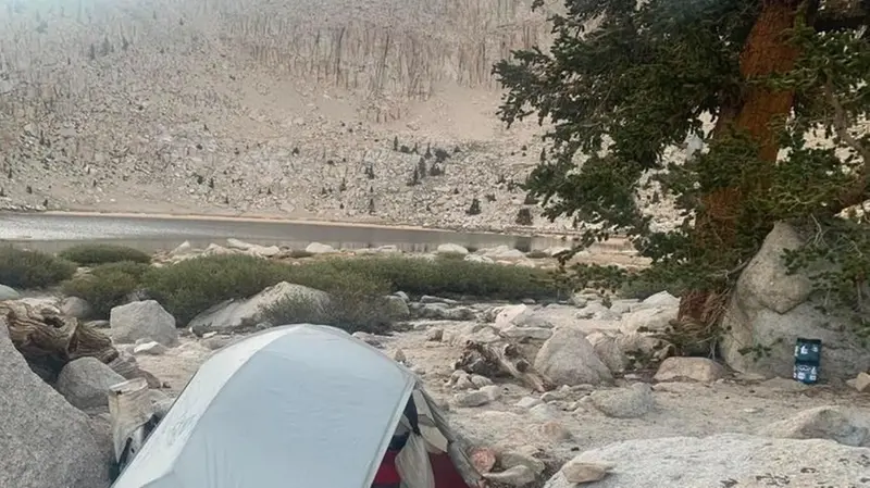 La tenda e, accanto all’albero, i contenitori per gli orsi - Foto © www.giornaledibrescia.it