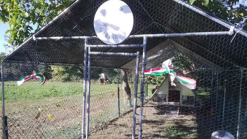 Il pollaio di Camignone si trova su un’area di proprietà della Parrocchia - Foto © www.giornaledibrescia.it