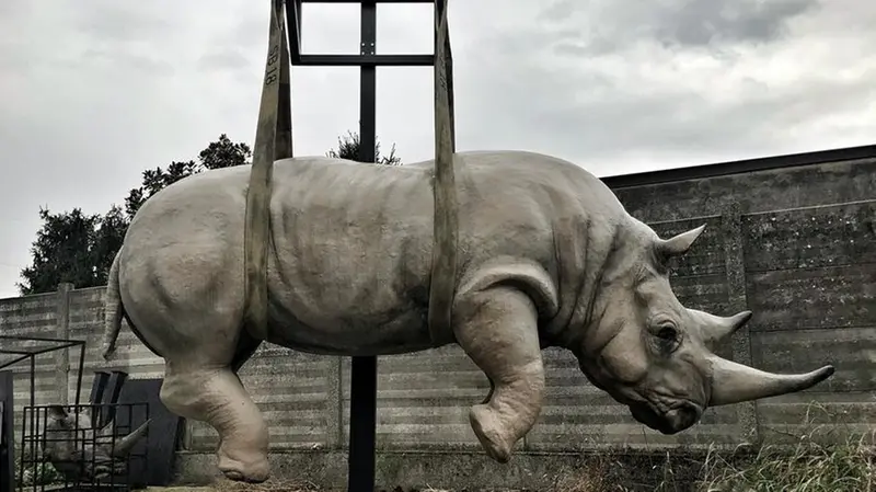 Di grande impatto Il gigantesco «Rinoceronte sospeso» di Stefano Bombardieri  © www.giornaledibrescia.it