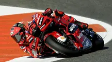 Francesco Bagnaia è campione del mondo del MotoGp - Foto Epa © www.giornaledibrescia.it