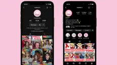 Webboh conta una community di oltre 2 milioni di follower tra Instagram e TikTok