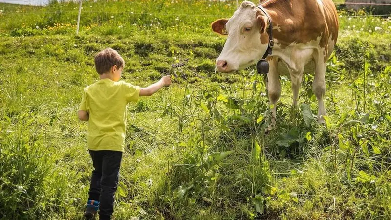 Adotta una mucca - Foto di www.visitvalvestino.it