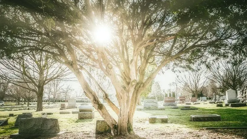 La gente visita i cimiteri indossando giacche leggere