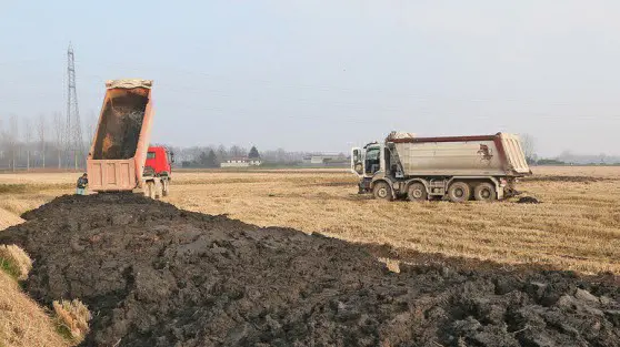 Gessi da defecazione in un campo - © www.giornaledibrescia.it