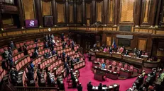 Il Senato - Foto Ansa © www.giornaledibrescia.it