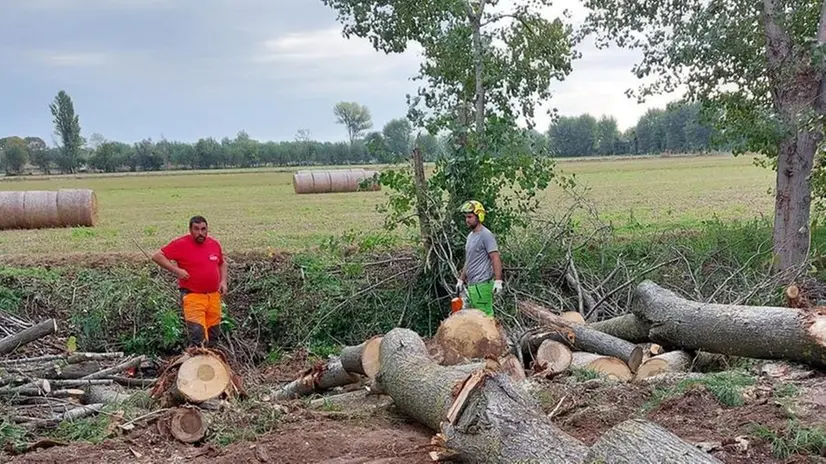 Dopo una lunga attesa sono ripartiti i lavori di ripristino del fiume Gambara