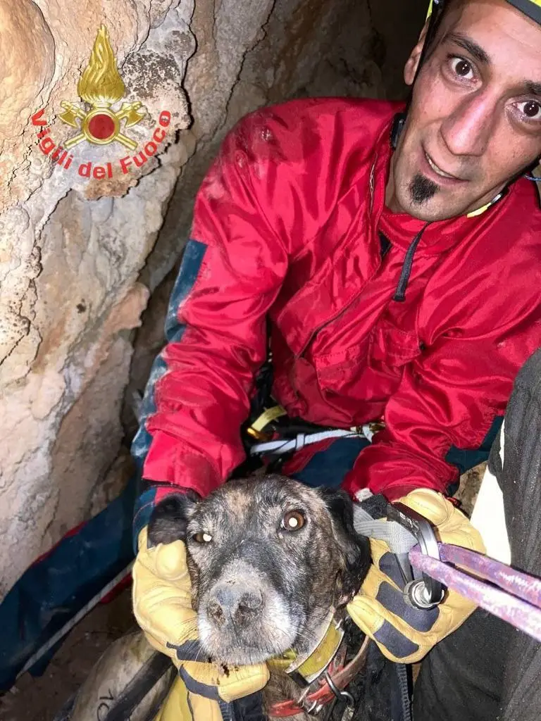 Le operazioni di recupero del cane Rasta