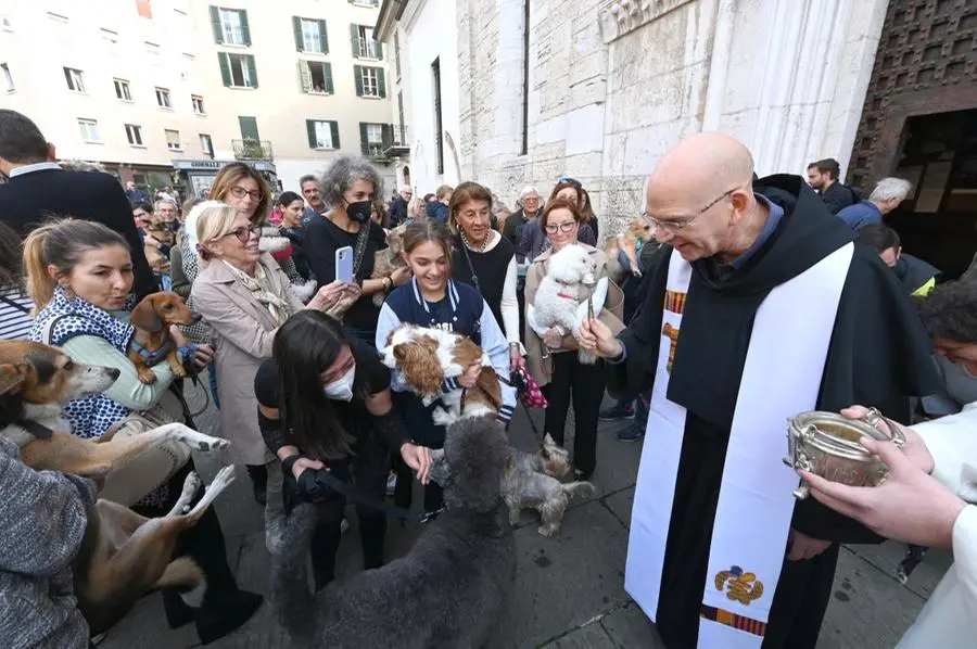 La benedizione gli animali sul sagrato della chiesa di San Francesco