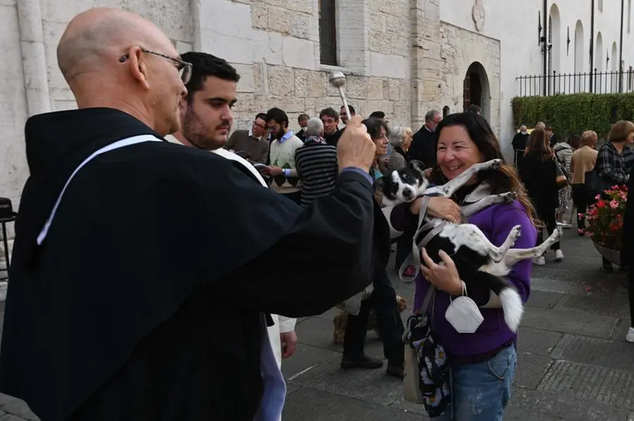La benedizione gli animali sul sagrato della chiesa di San Francesco