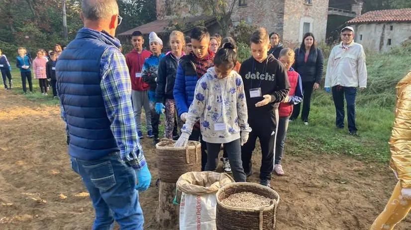 La semina alla scuola elementare Anna Frank