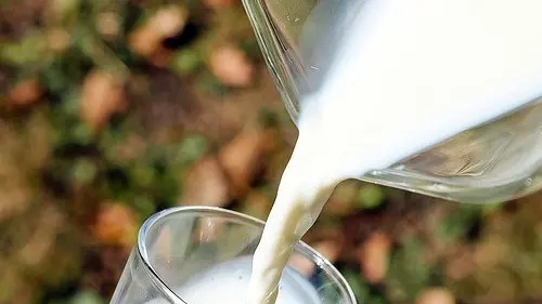 È un autunno molto difficile per il settore del latte - Foto © www.giornaledibrescia.it