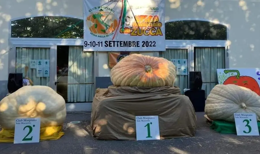 Le tre zucche premiate alla sfida nazionale di Sale Marasino