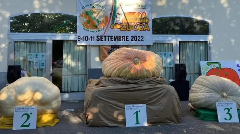Le tre zucche premiate alla sfida nazionale di Sale Marasino