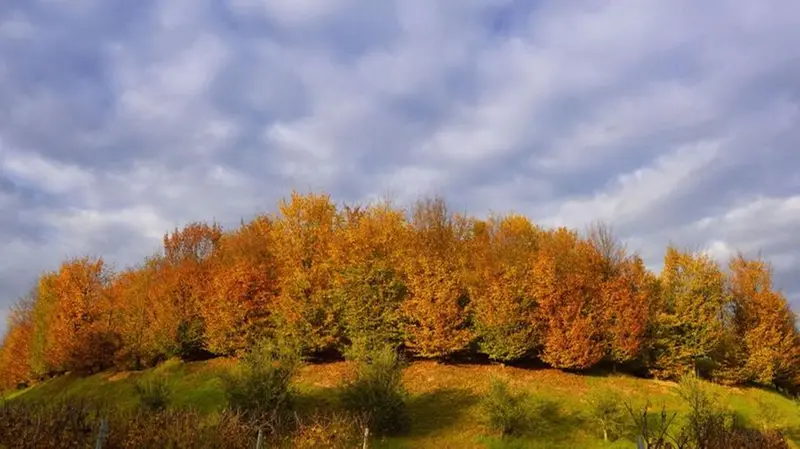 Le colline della Franciacorta in autunno - Foto di uber da Zoom © www.giornaledibrescia.it