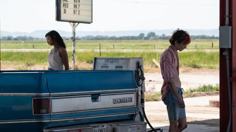 Scene dal film Bones and all di Guadagnino