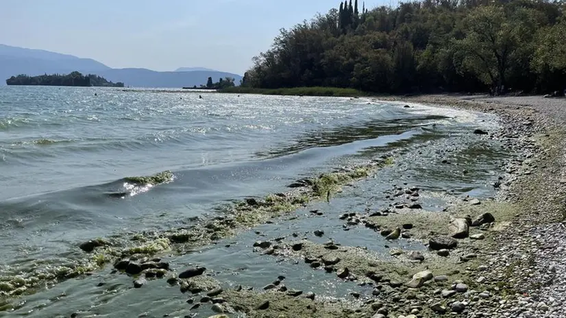 Si allungano le spiagge dei laghi bresciani. La mancanza d’acqua dura ormai da mesi - Foto © www.giornaledibrescia.it