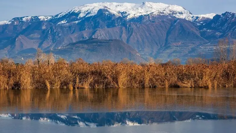 Una suggestiva veduta della Riserva naturale delle Torbiere - Foto © www.giornaledibrescia.it