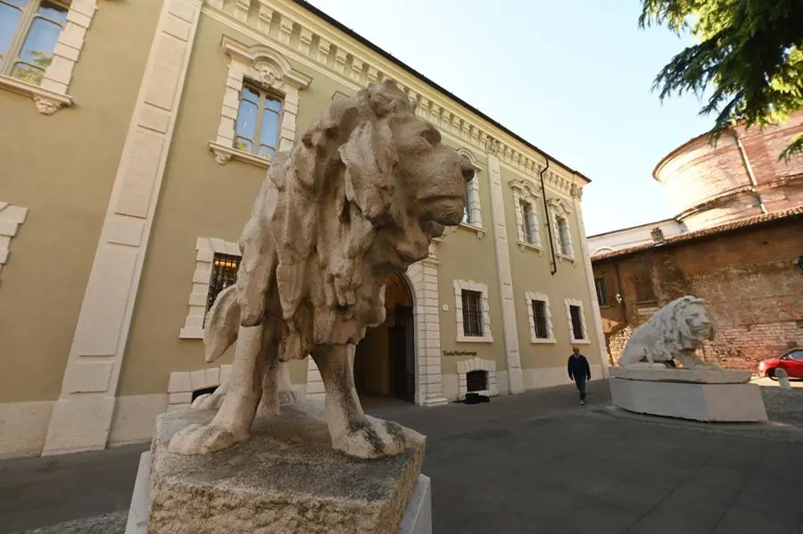 I leoni fuori dalla Pinacoteca Tosio Martinengo