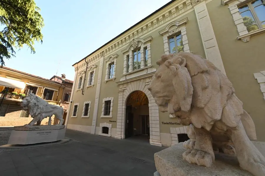 I leoni fuori dalla Pinacoteca Tosio Martinengo